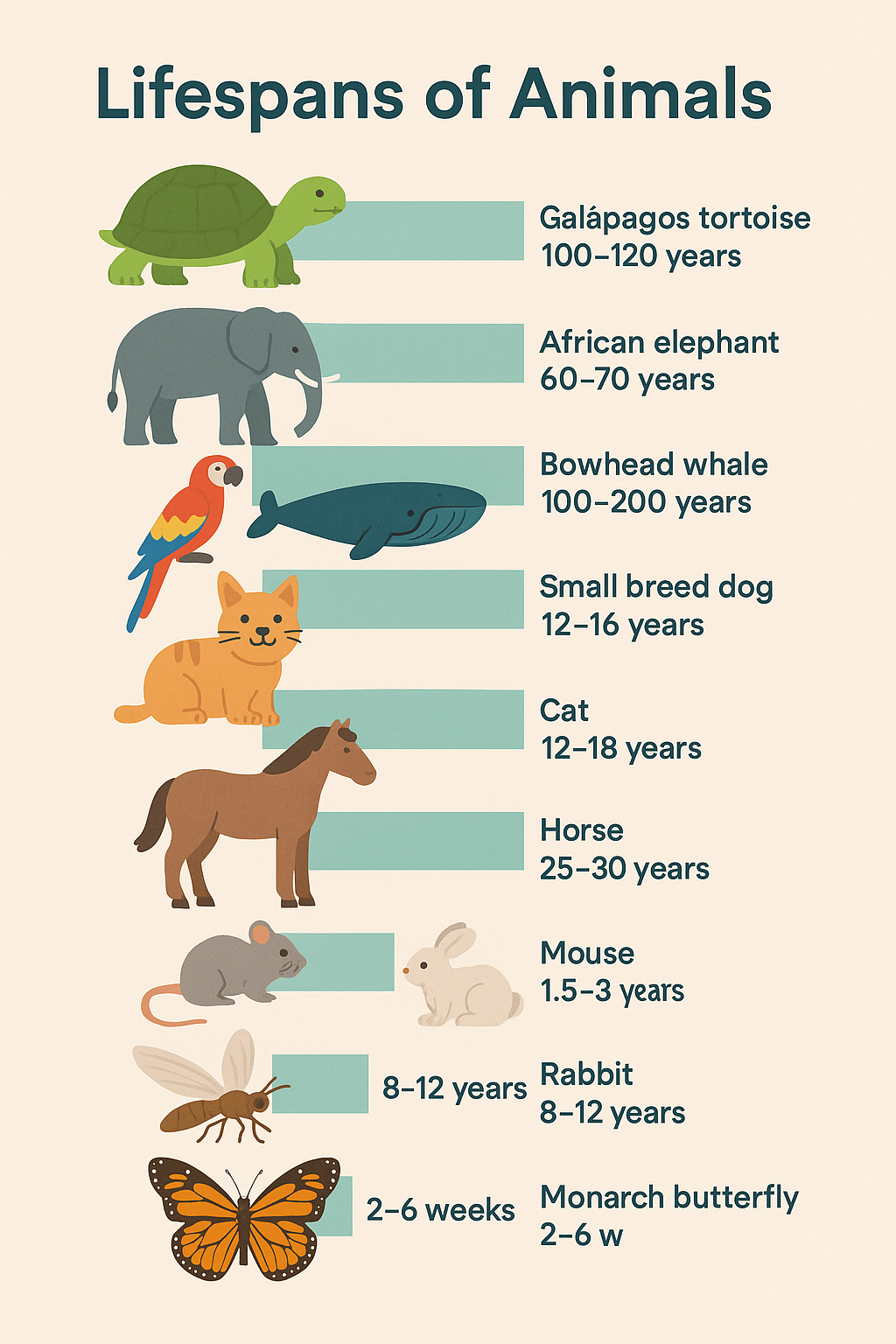 animal ages