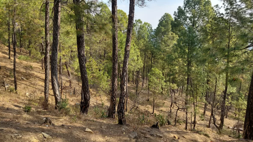 Pinakeshwar Temple near Kausani