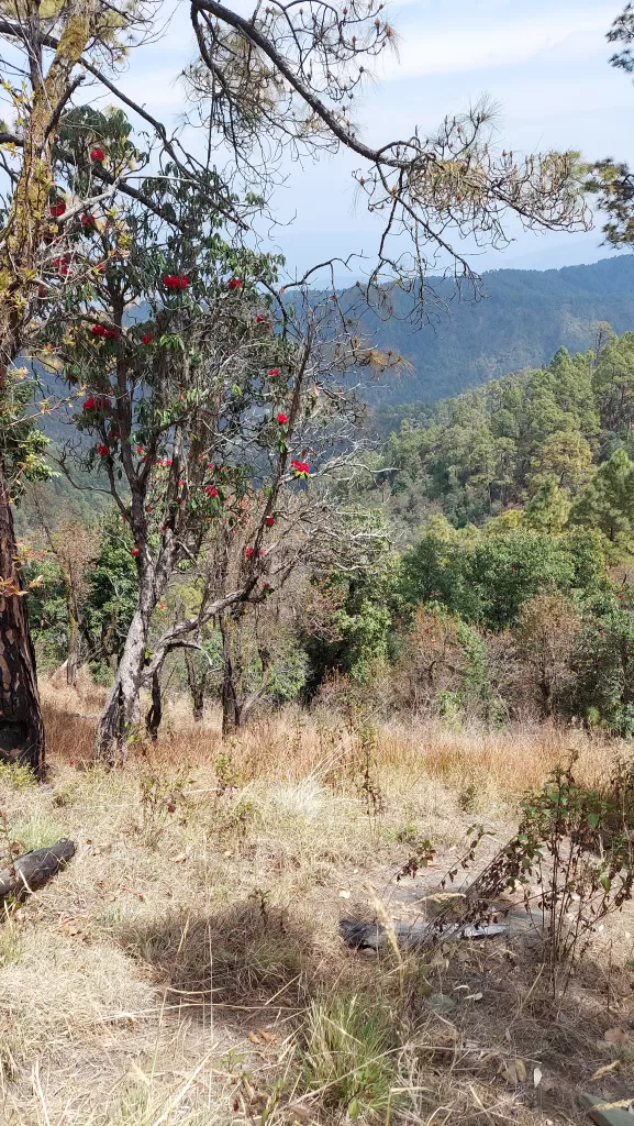 Pinakeshwar Temple near Kausani