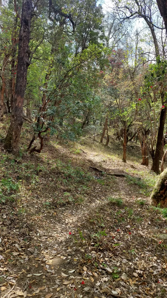 Pinakeshwar Temple near Kausani